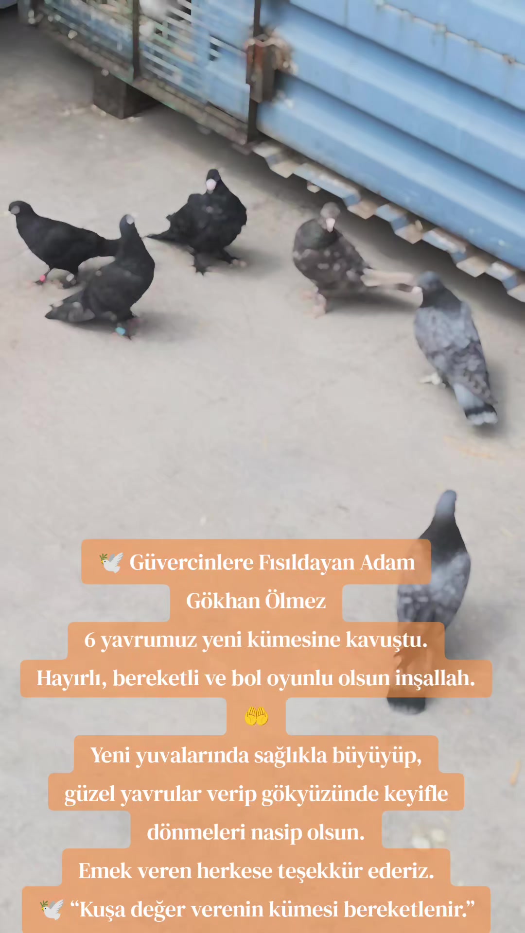 @G&Uuml;VERCİNLERE FISILDAYAN ADAM