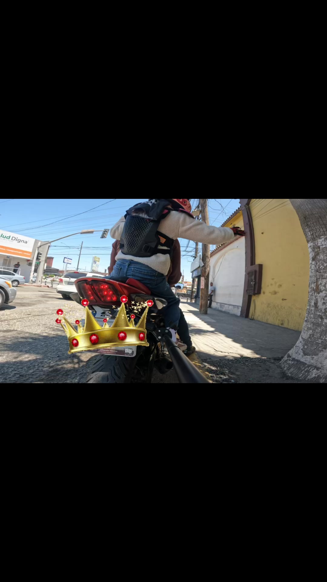 @lasuzukiroja