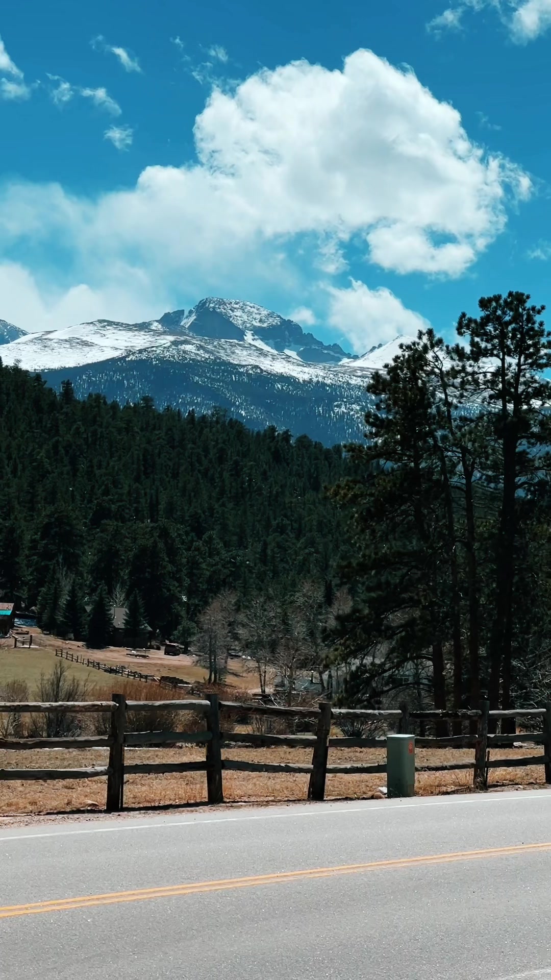 @Estes Pines
