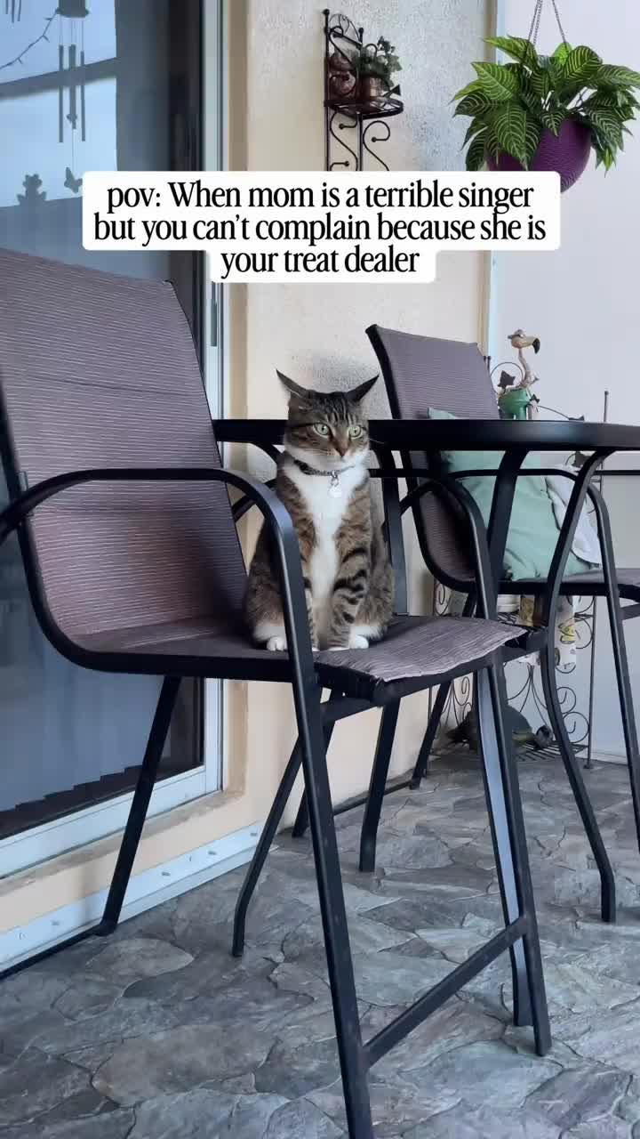 @account 17