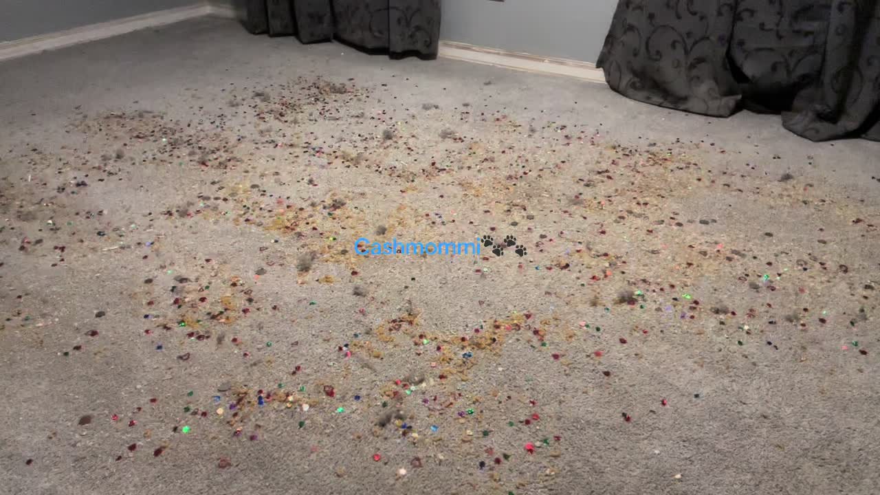 @CashmommiVacs