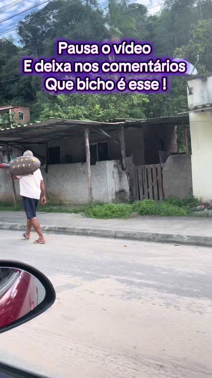 @Pamela Dias
