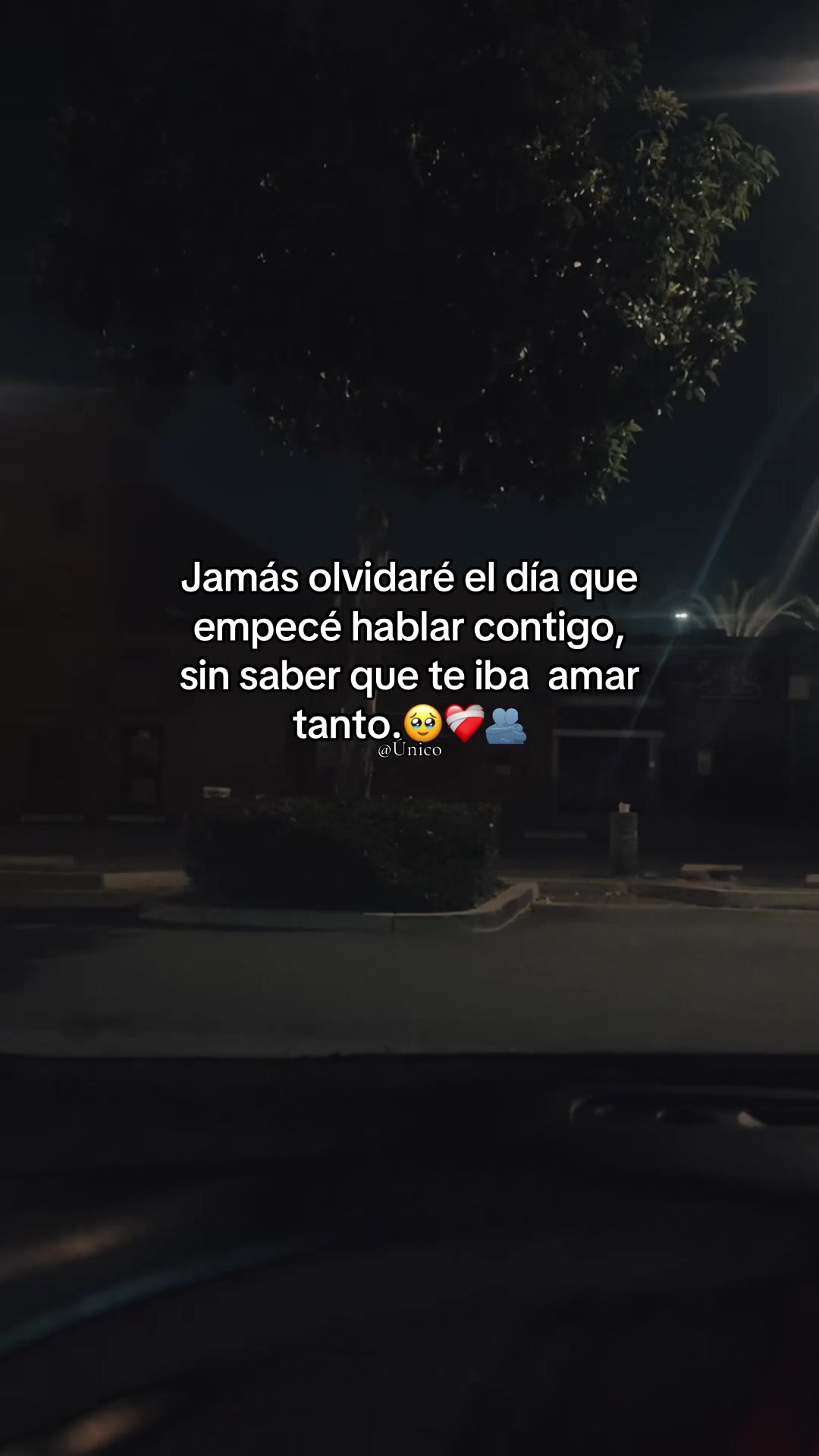 @Ú𝚗𝚒𝚌𝚘 ✔︎
