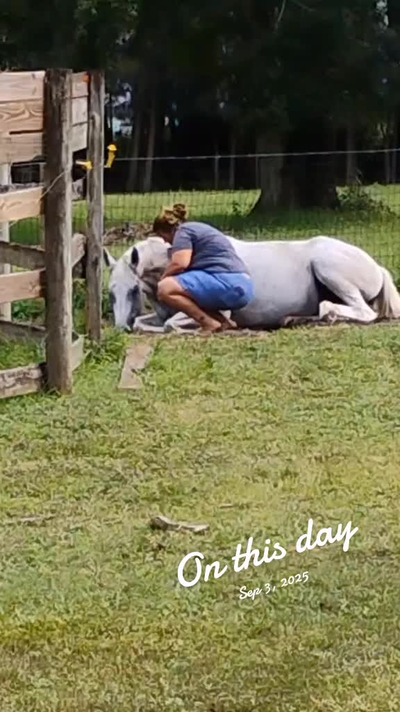 @Flhorselife772