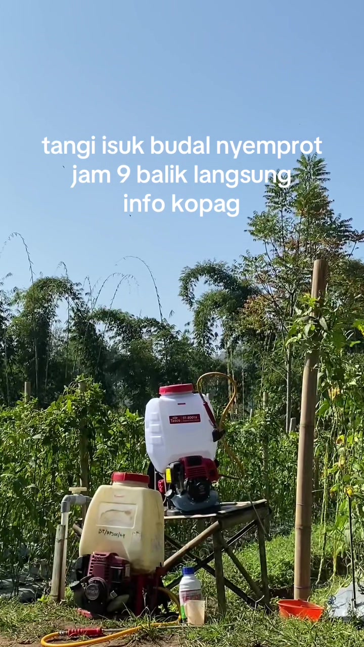 @erianggoro