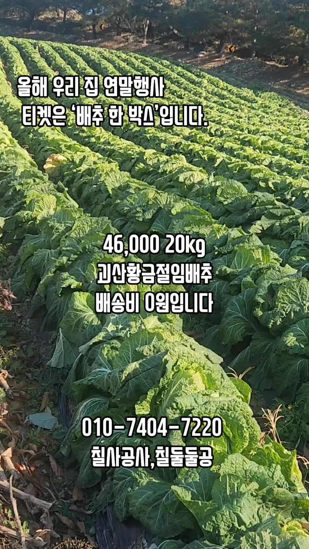 @새콤과일장터