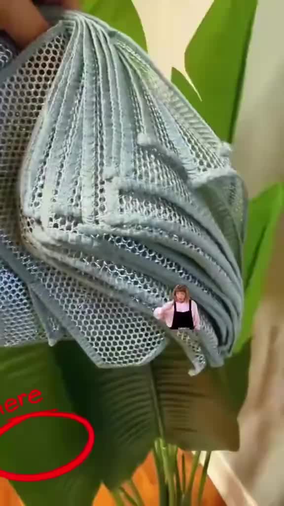 @Sigua TikTok