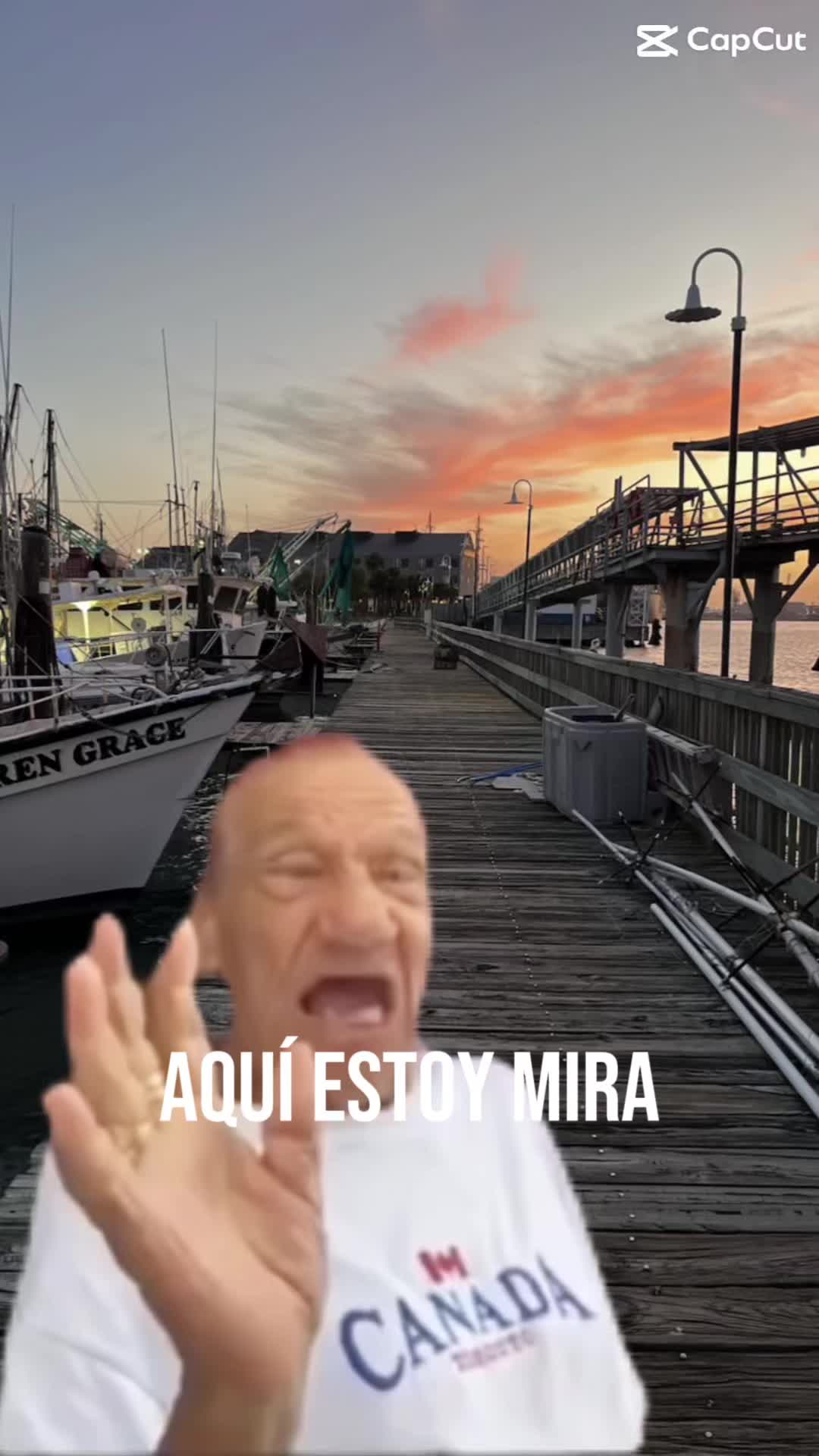 @viralmemeloop