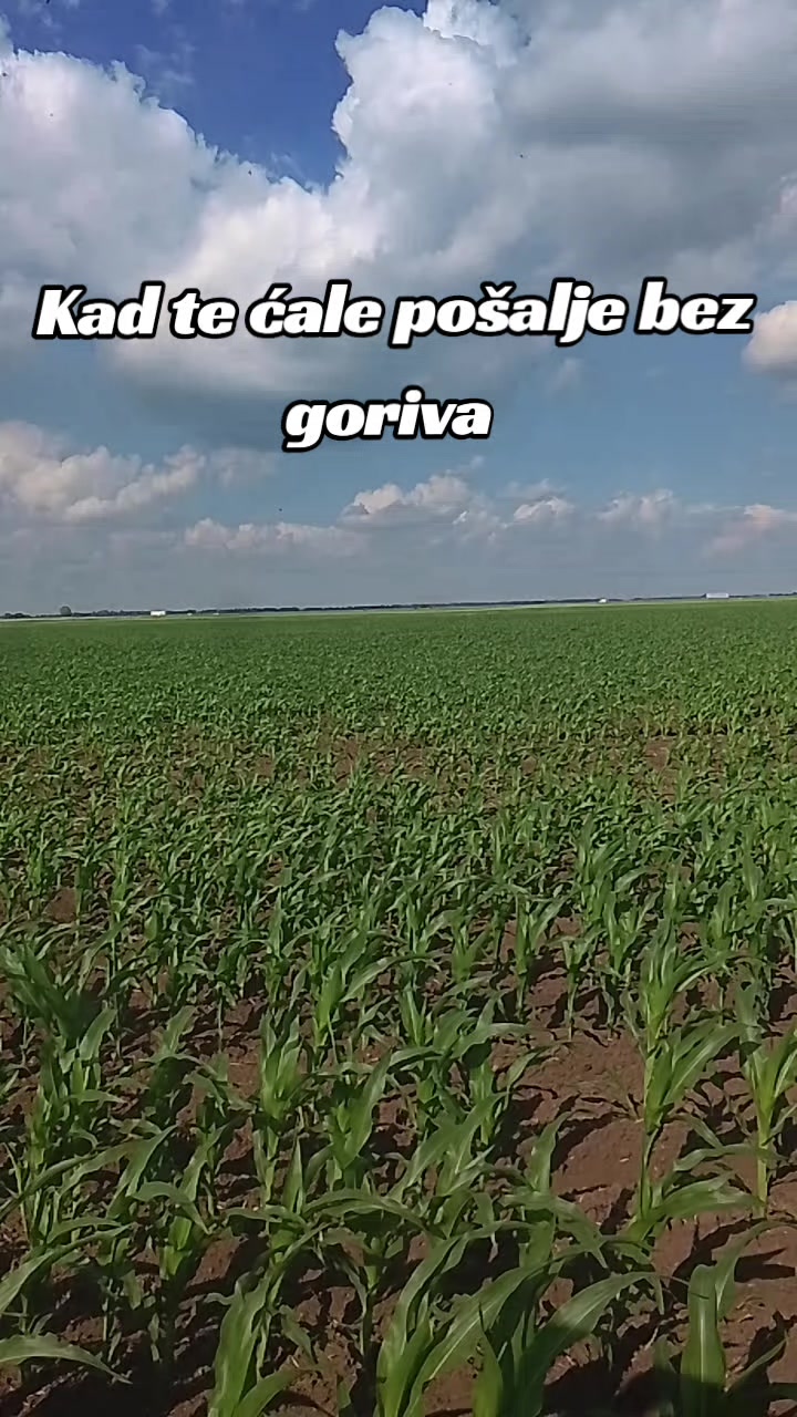@Vučko