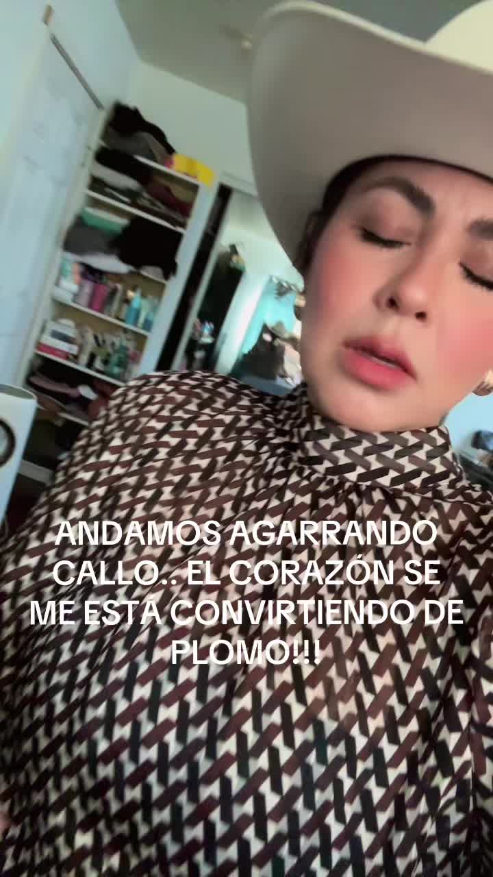 @Oibarra🌙
