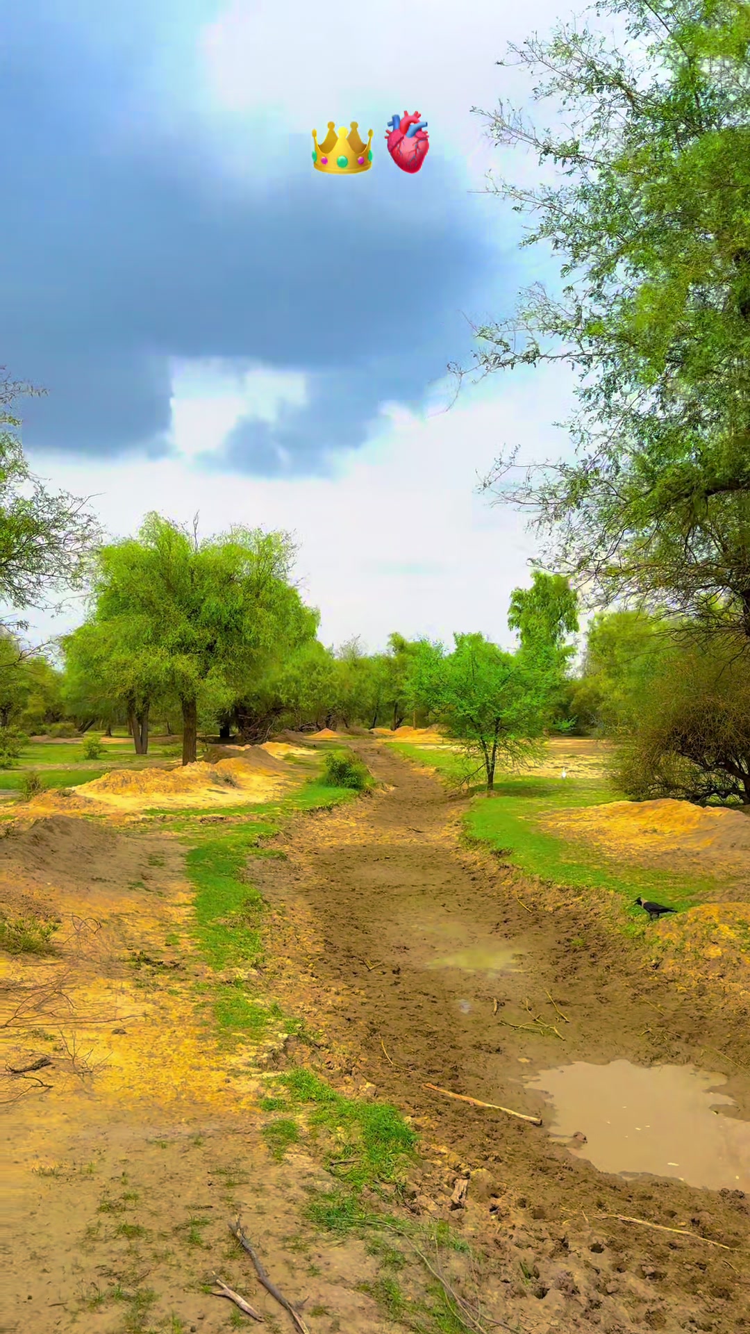 @پنجابی کلچر 🌾🍂