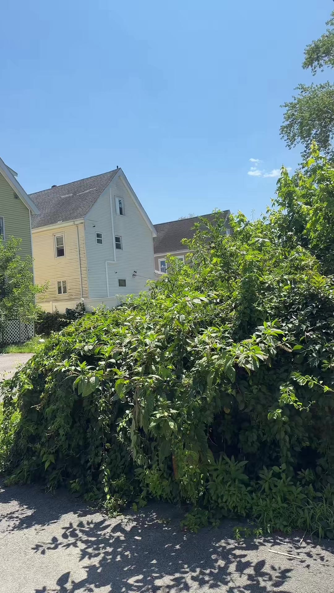 @gardensbygilf