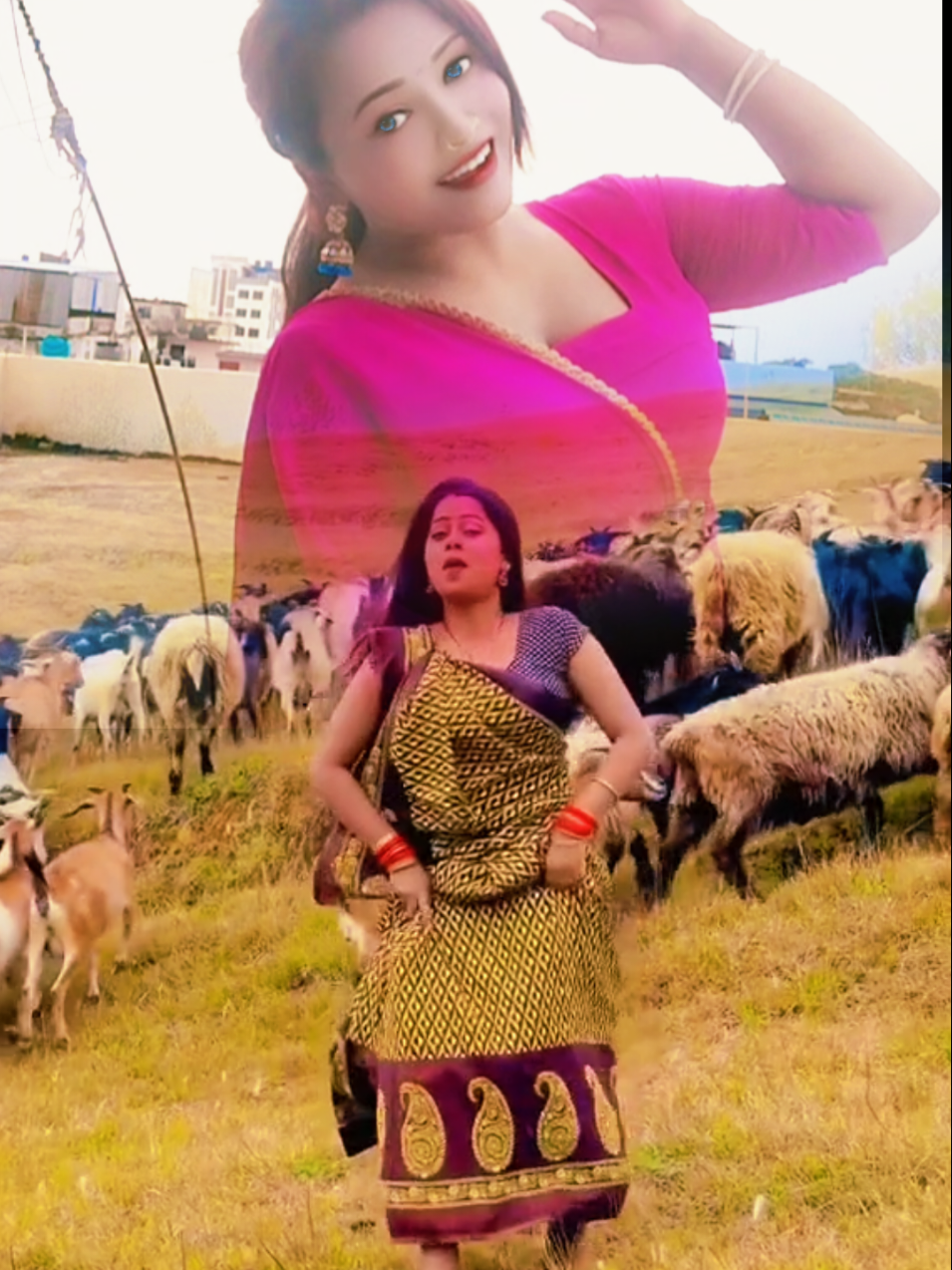 @RanjitaG