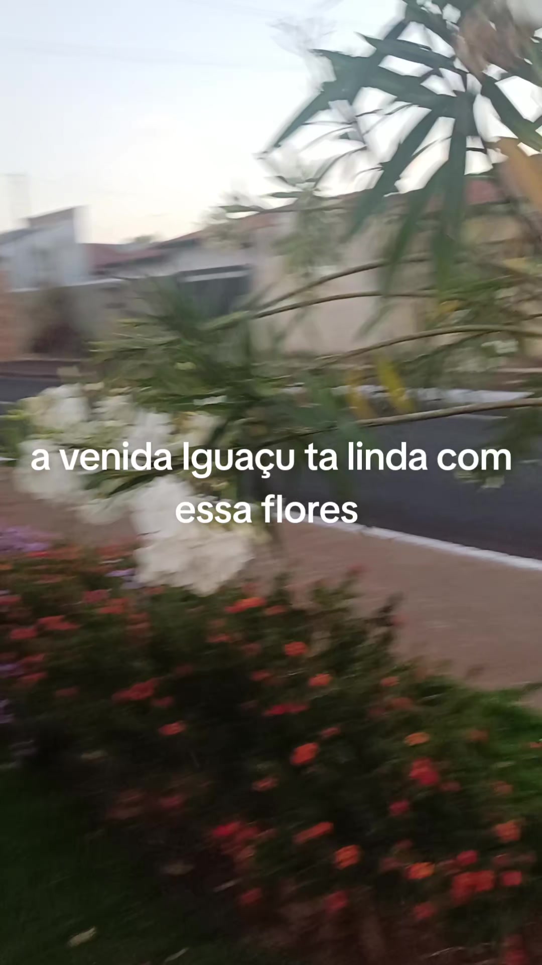 @Quesla da silva