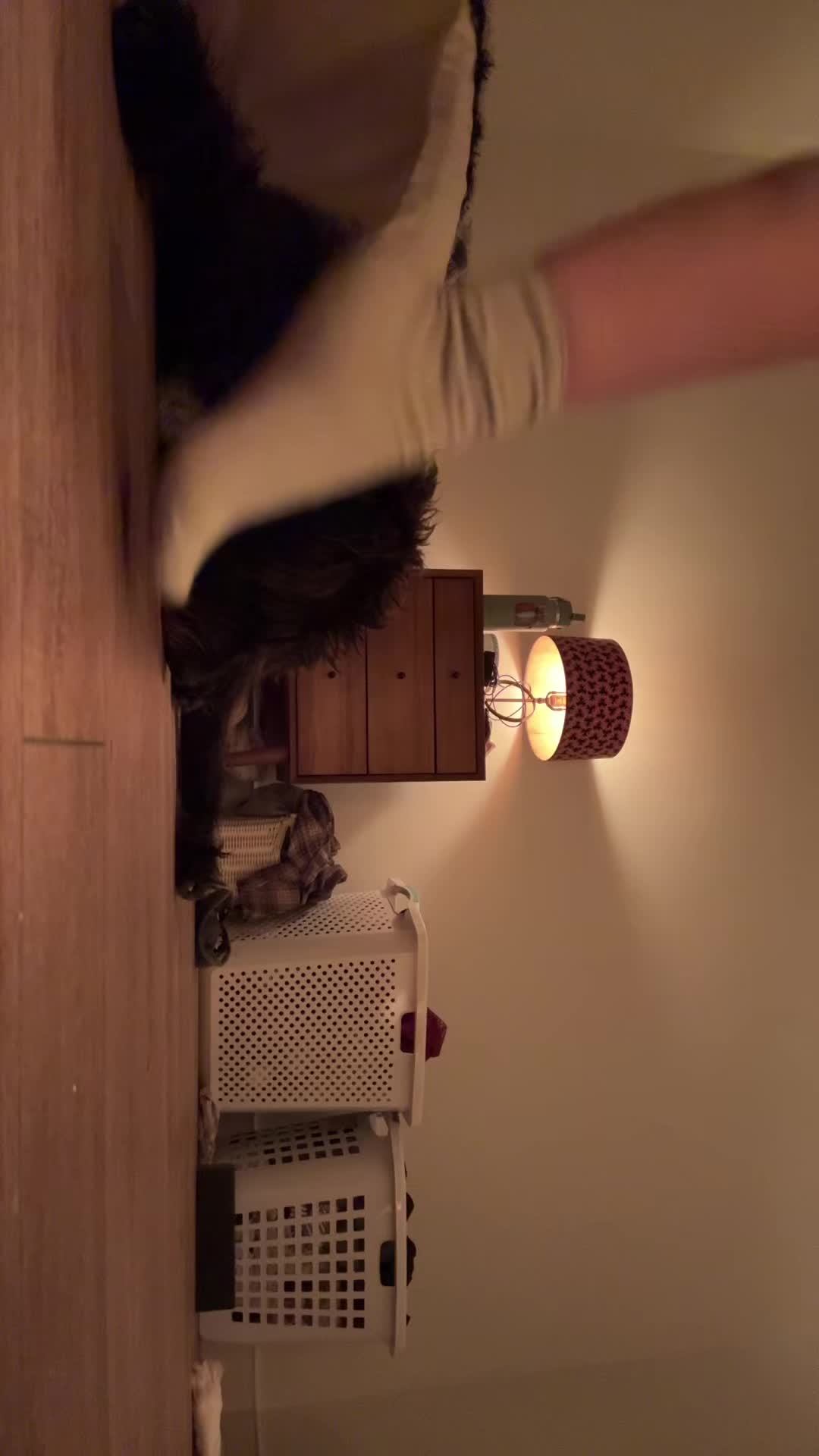 @blackdahliazz
