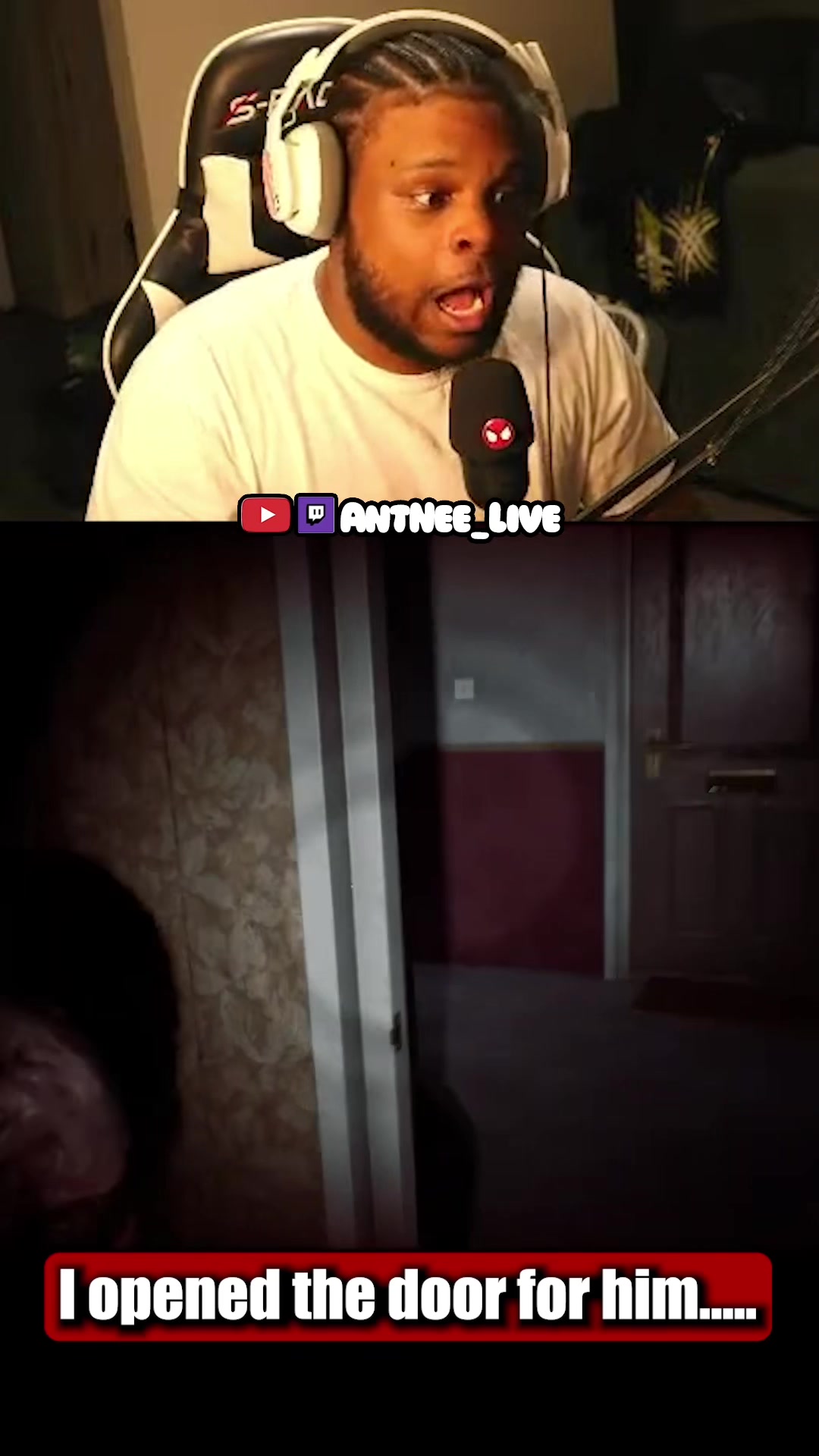 @AntNee Live