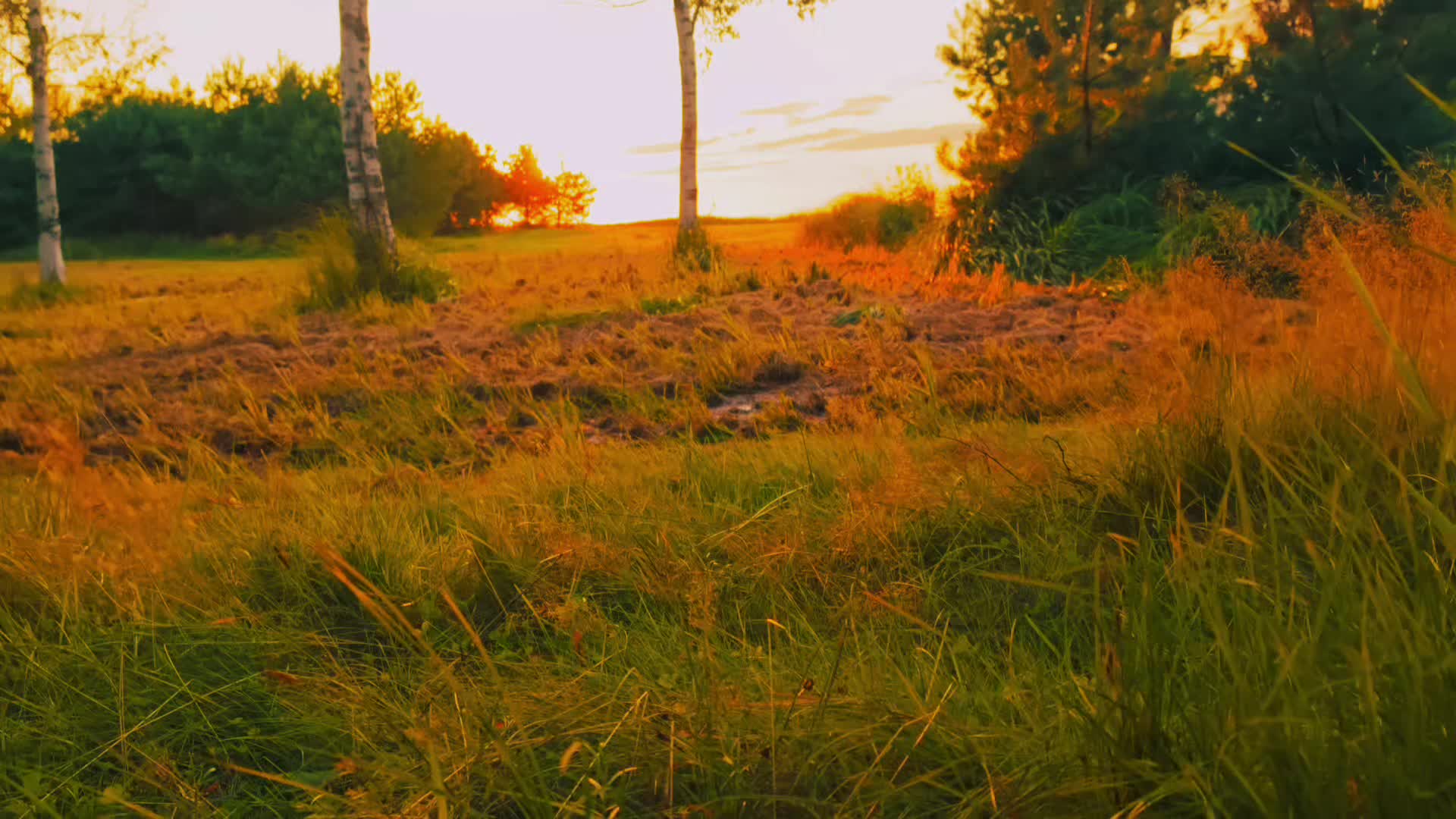 @✮Bliss✮