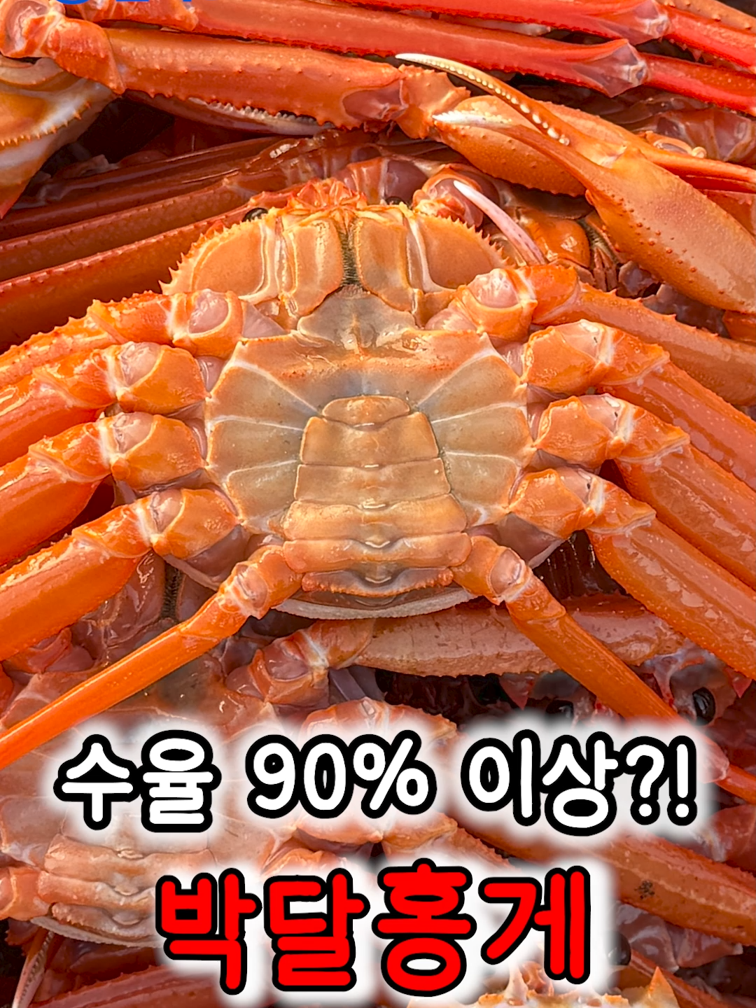 @싱싱헌터스