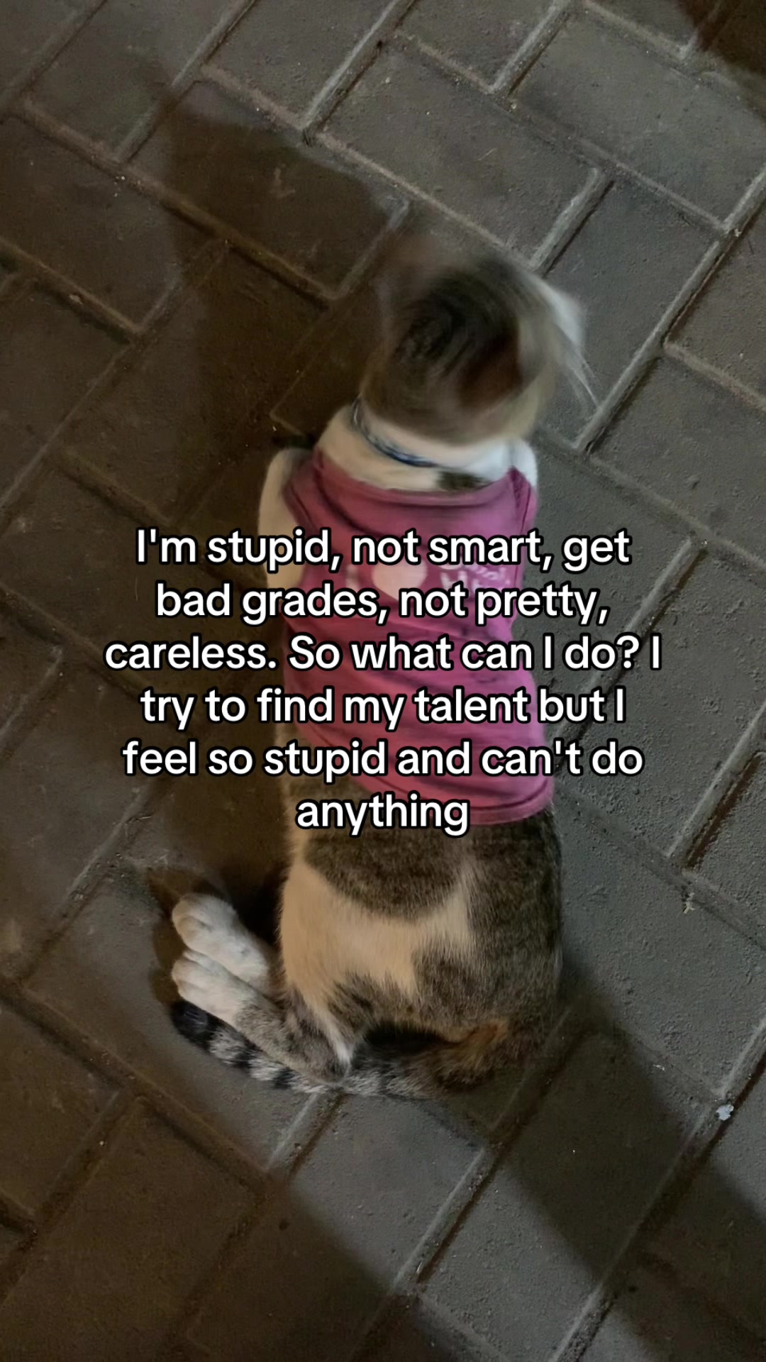 @usernotfound