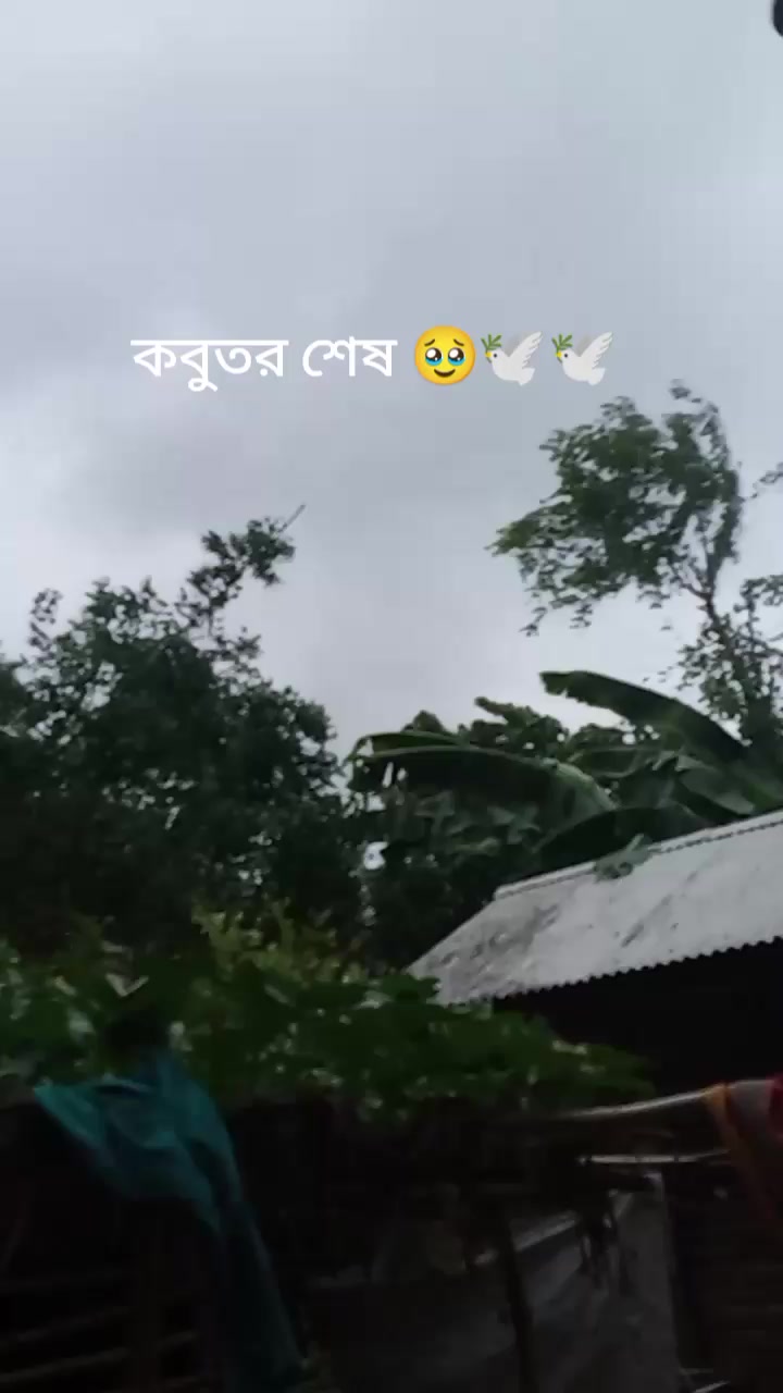 @💥🤣🤣🖕খারারা ফানি টিম 💥🤣🤣