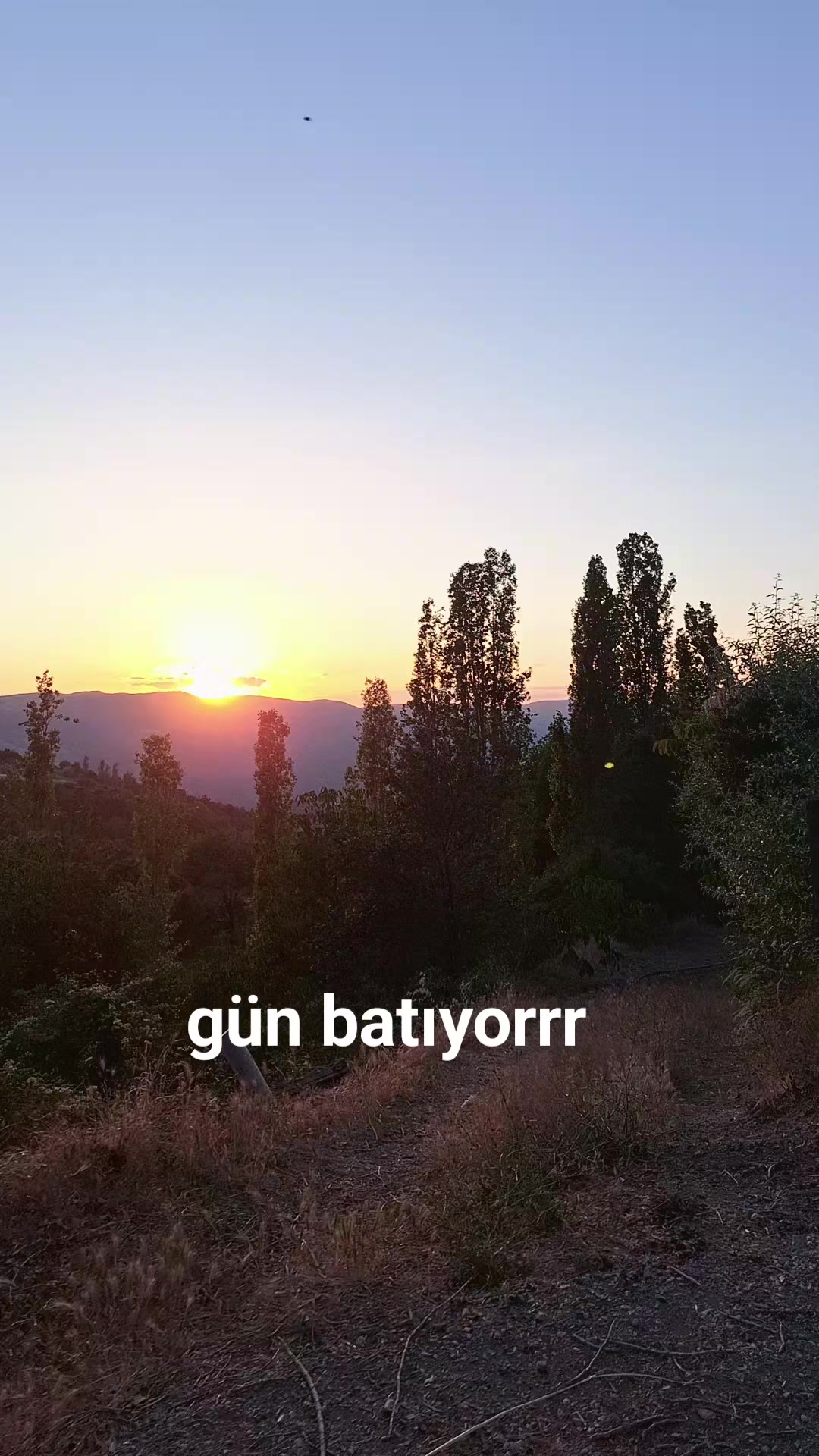 @g&uuml;lo g&uuml;l kız