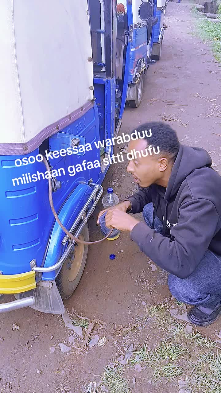 @Tariku Fekeda