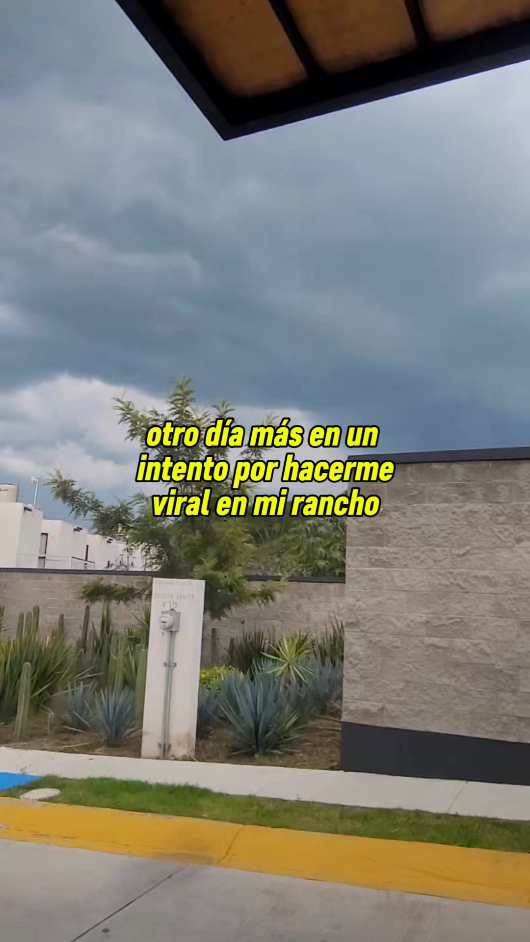 @ᴀ ʟ ᴇ ᴊ ᴏ🔹