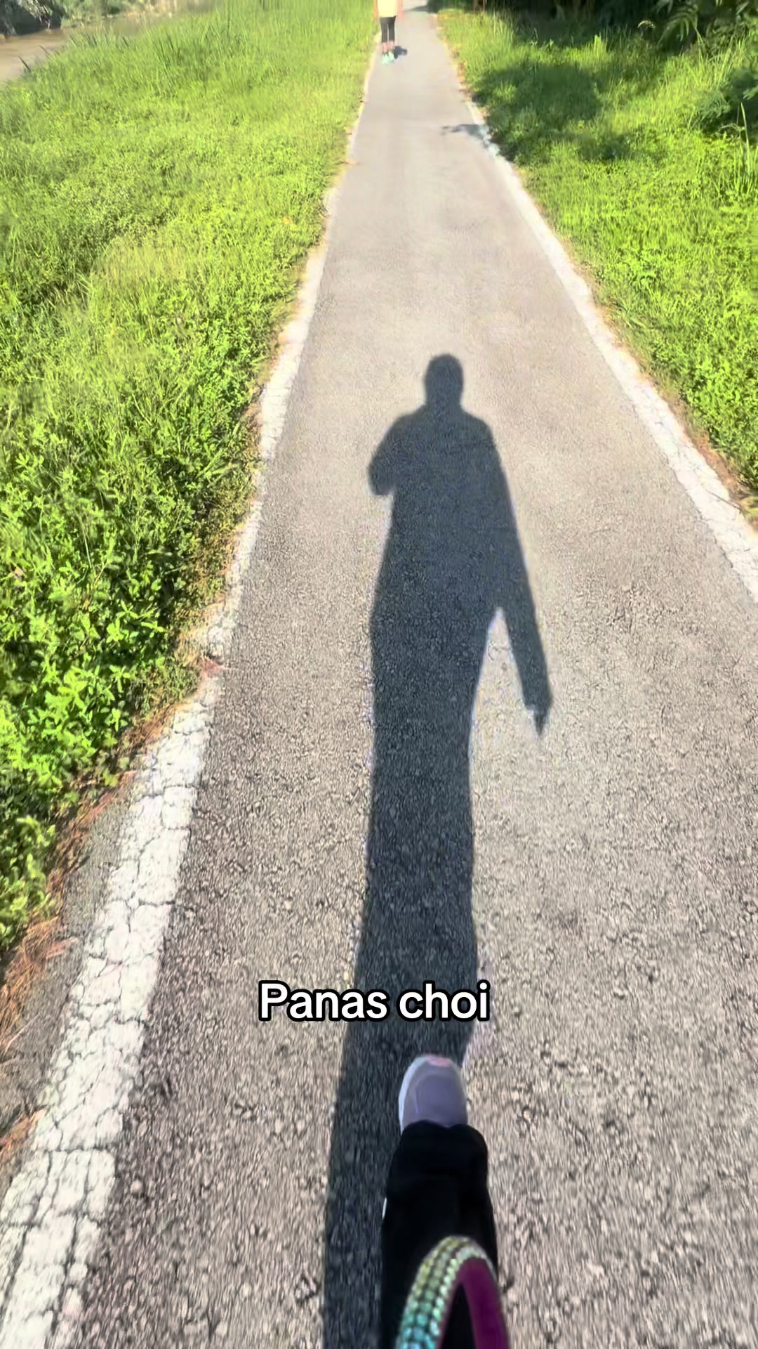 @anna fauziana