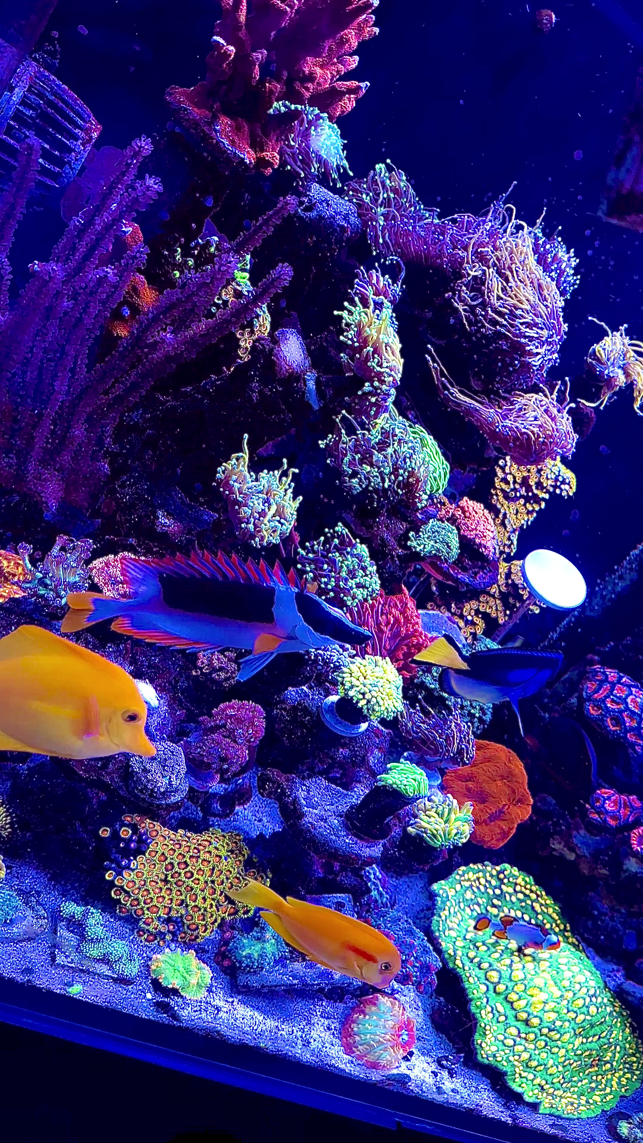 @SaltWaterShane