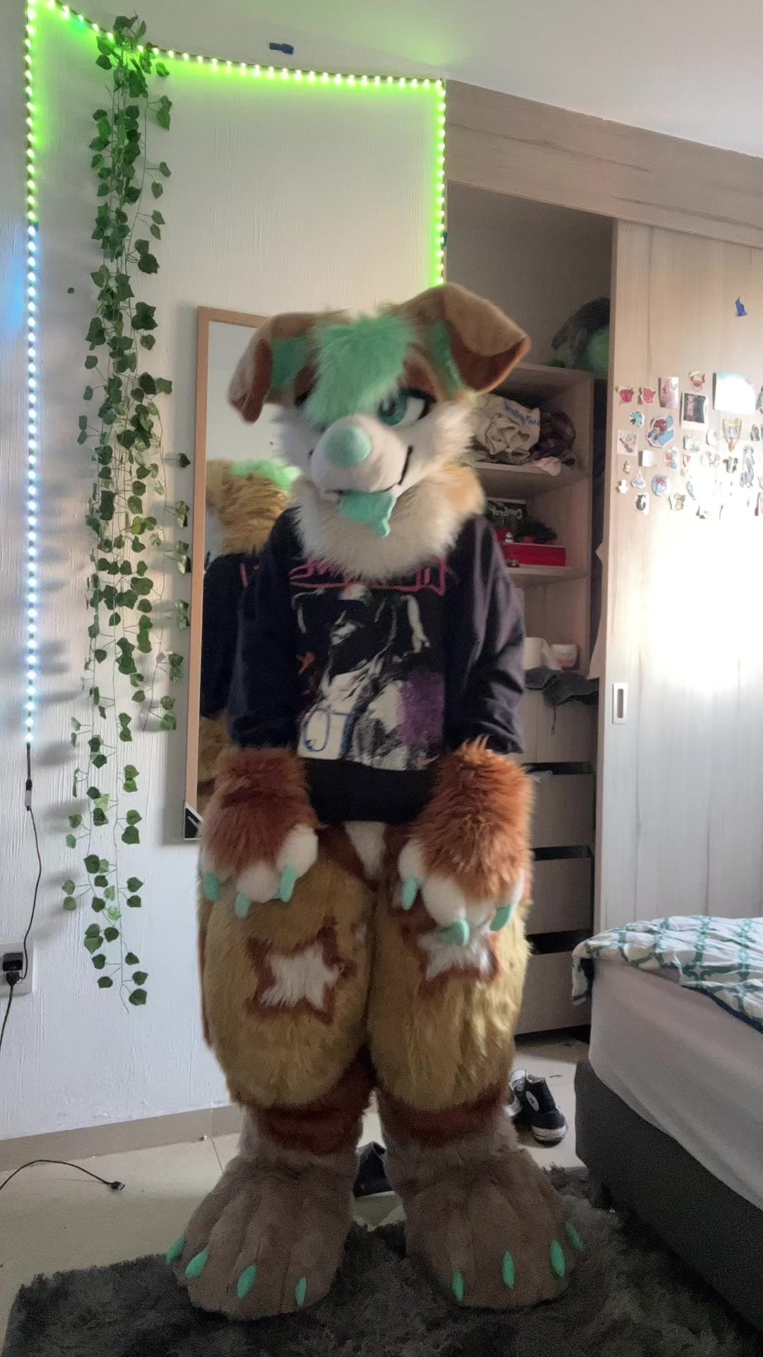 @☆ ˚‧⁺.*Maple 🐾 <33