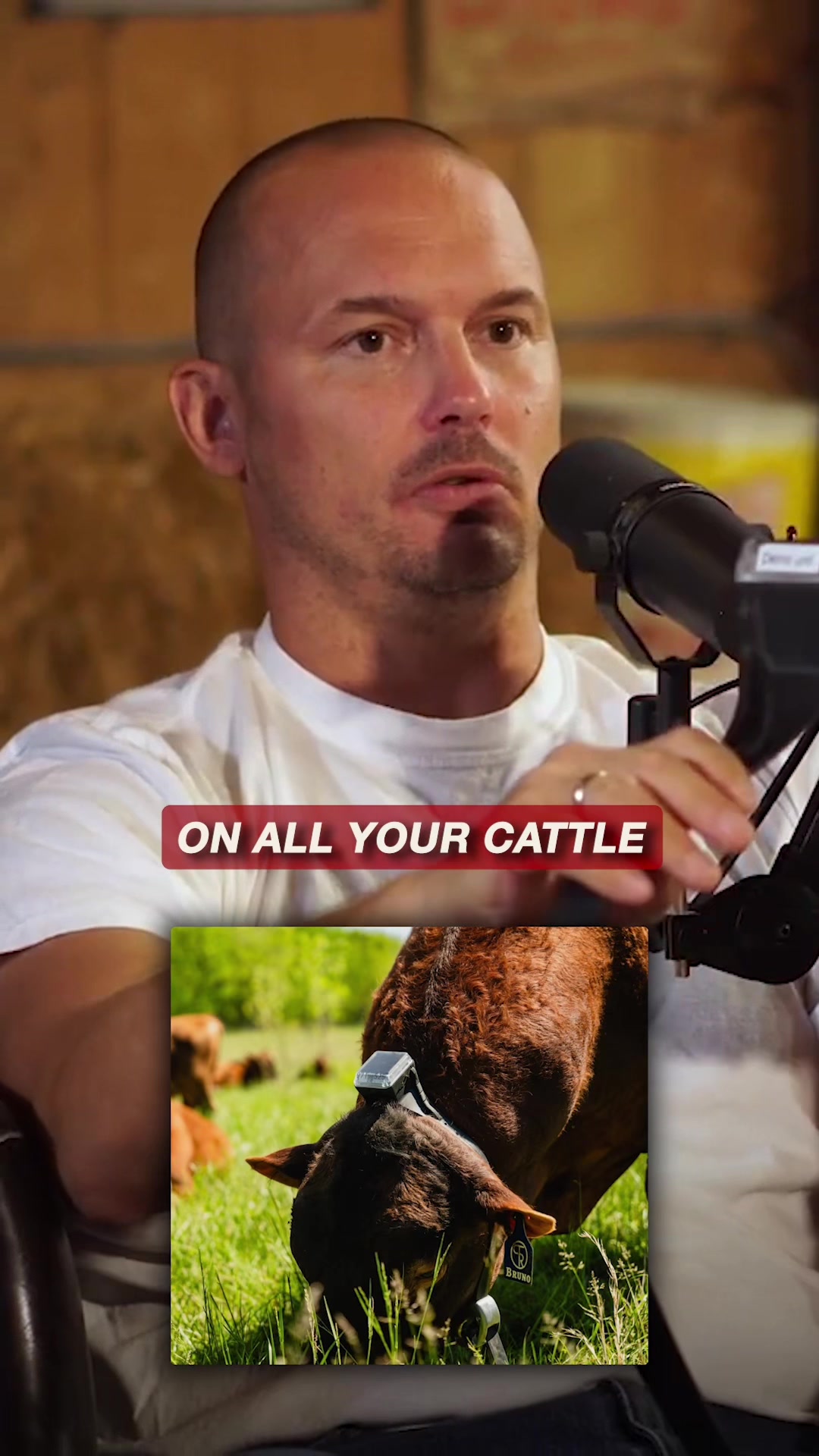 @Barn Talk