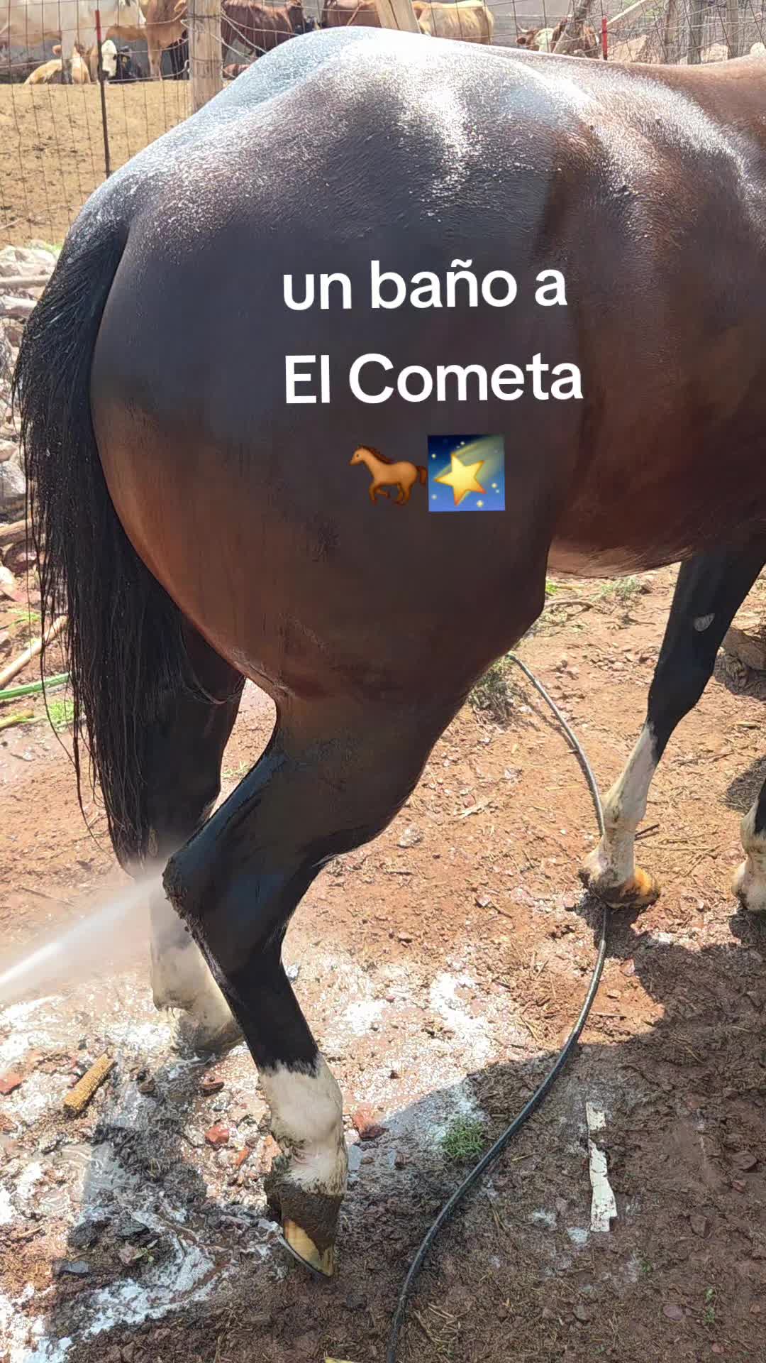 @BarbaCerrada0519