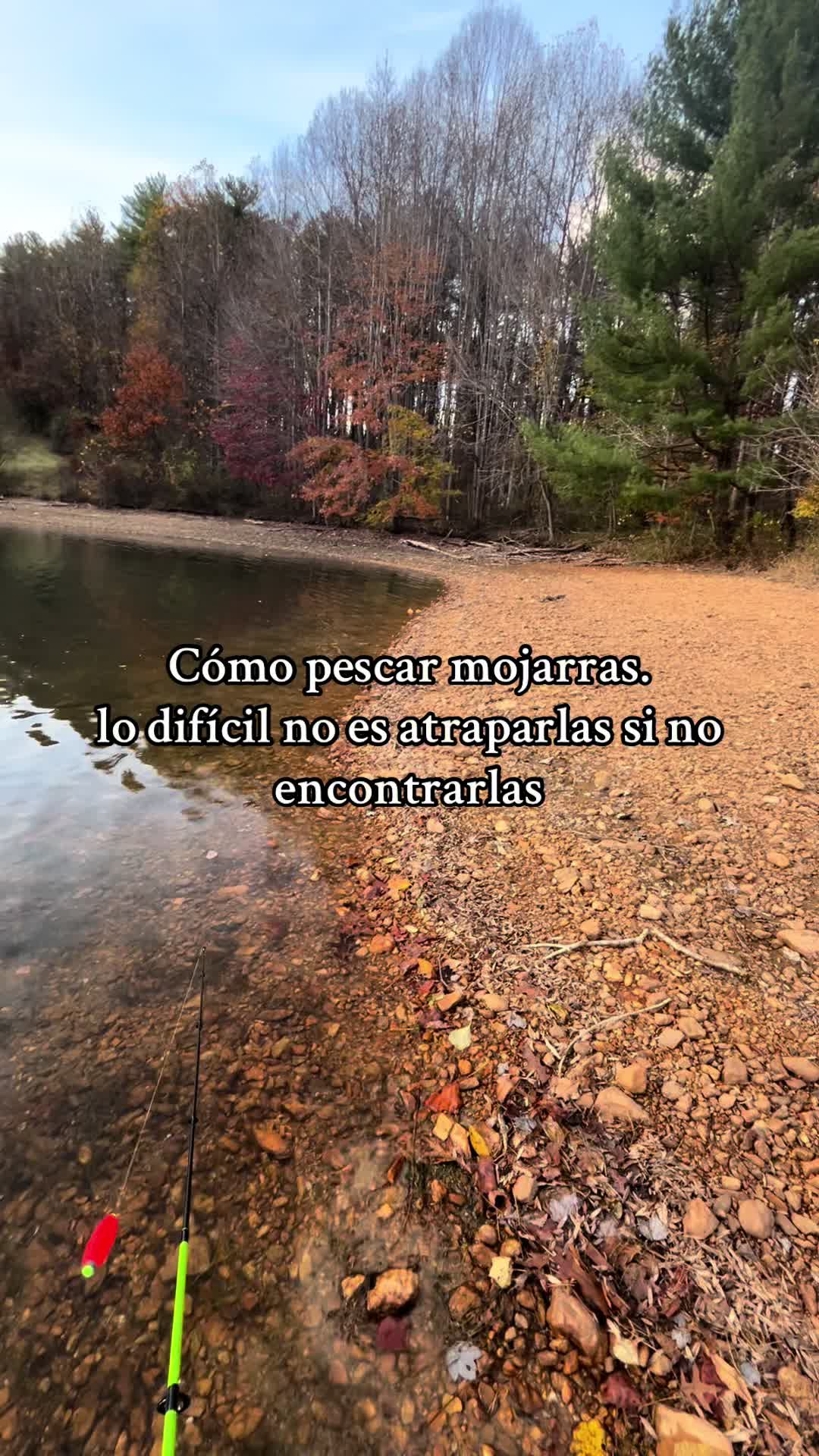 @Pescador🎣🦈