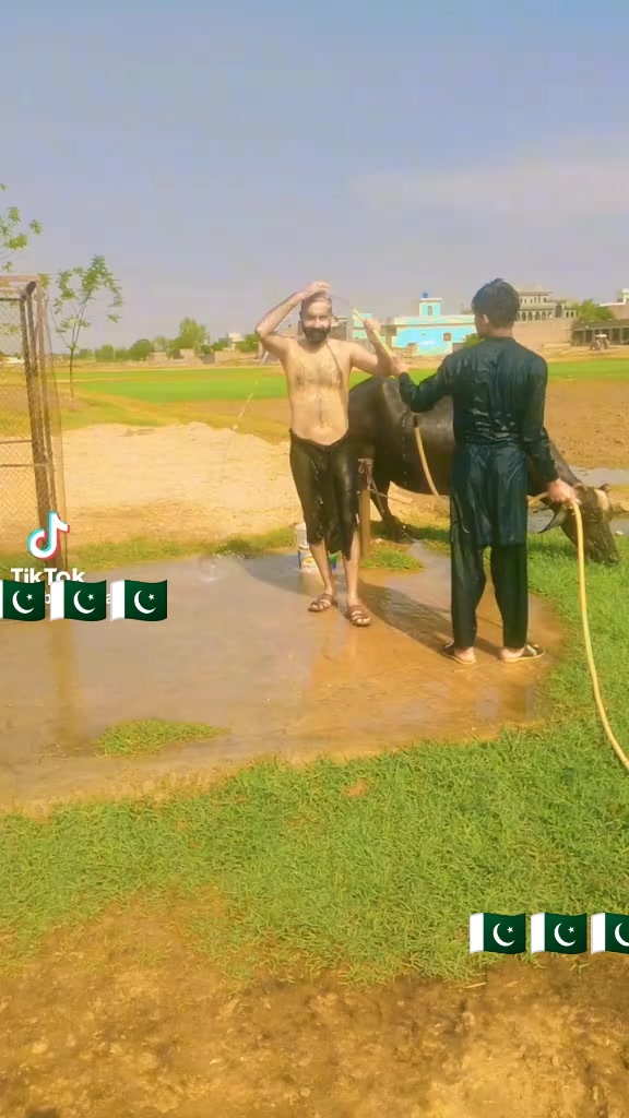 @ONLY Pakistani Daddy👍
