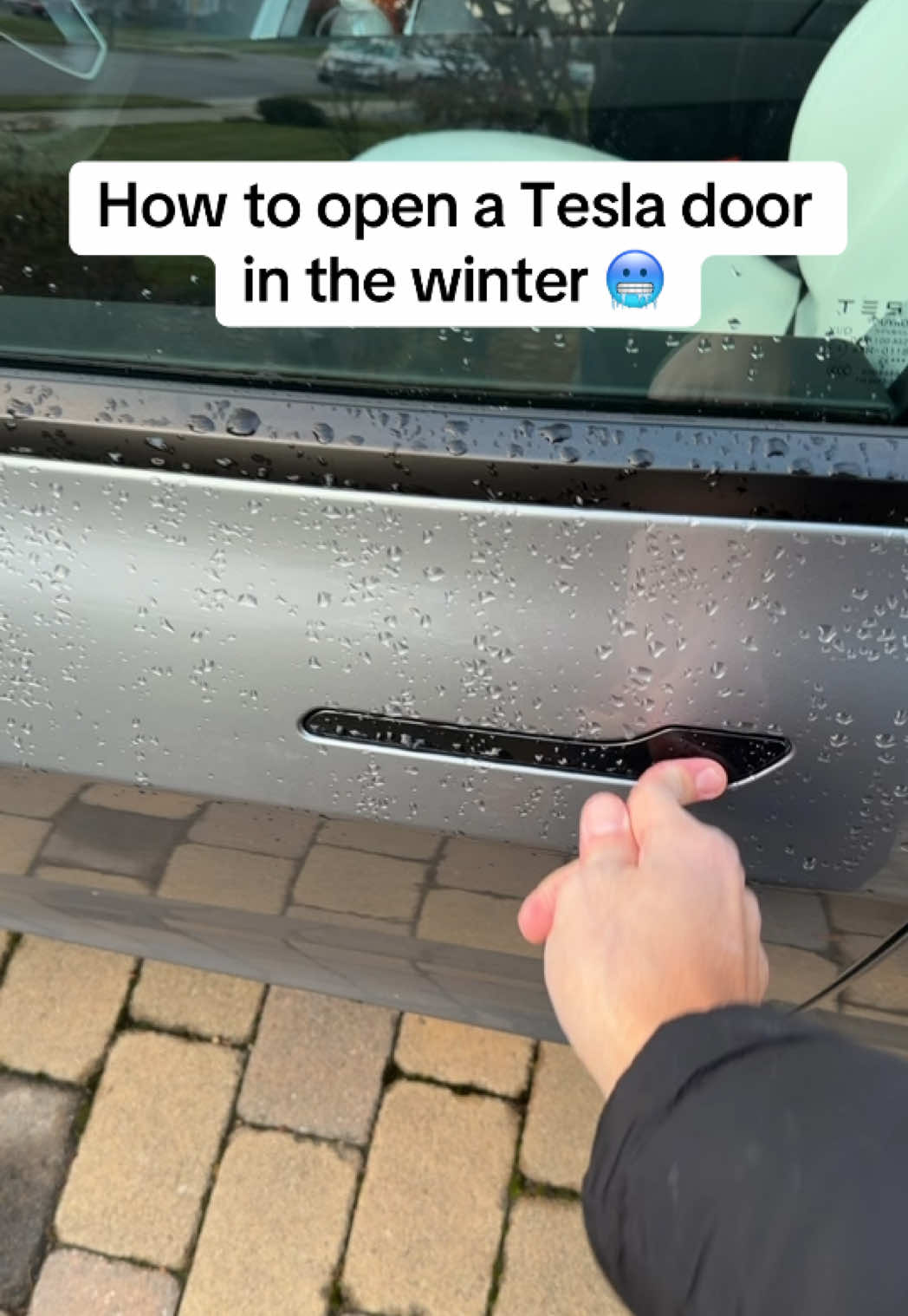 @Ray | Tesla and TSLA News