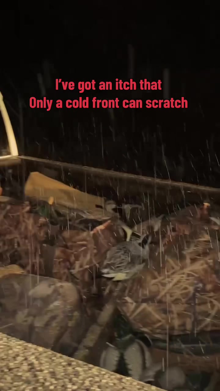 @MudFlat Media Waterfowl