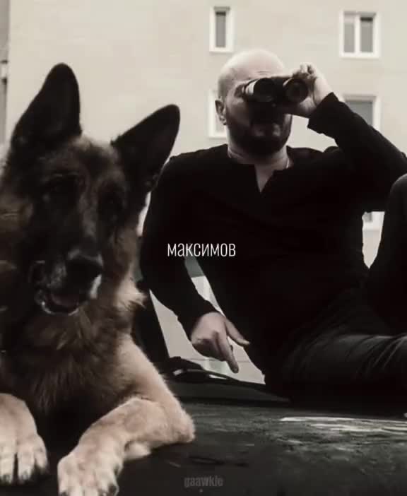 @фан пса
