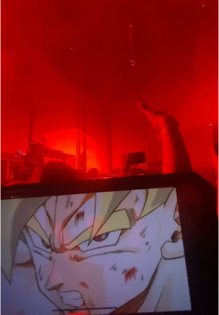 @Noah🦇