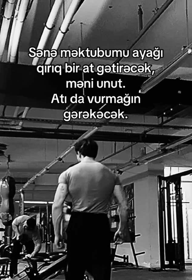 @Gismat Rza