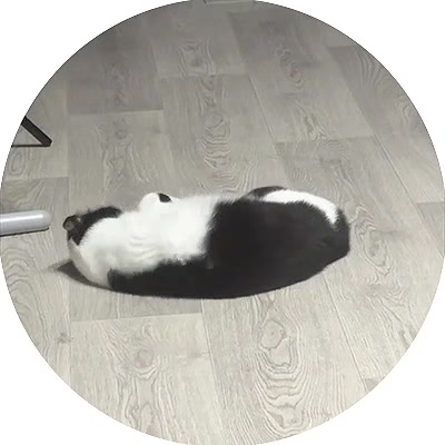 @Тгк: Кабуко💉☂️ 🐳
