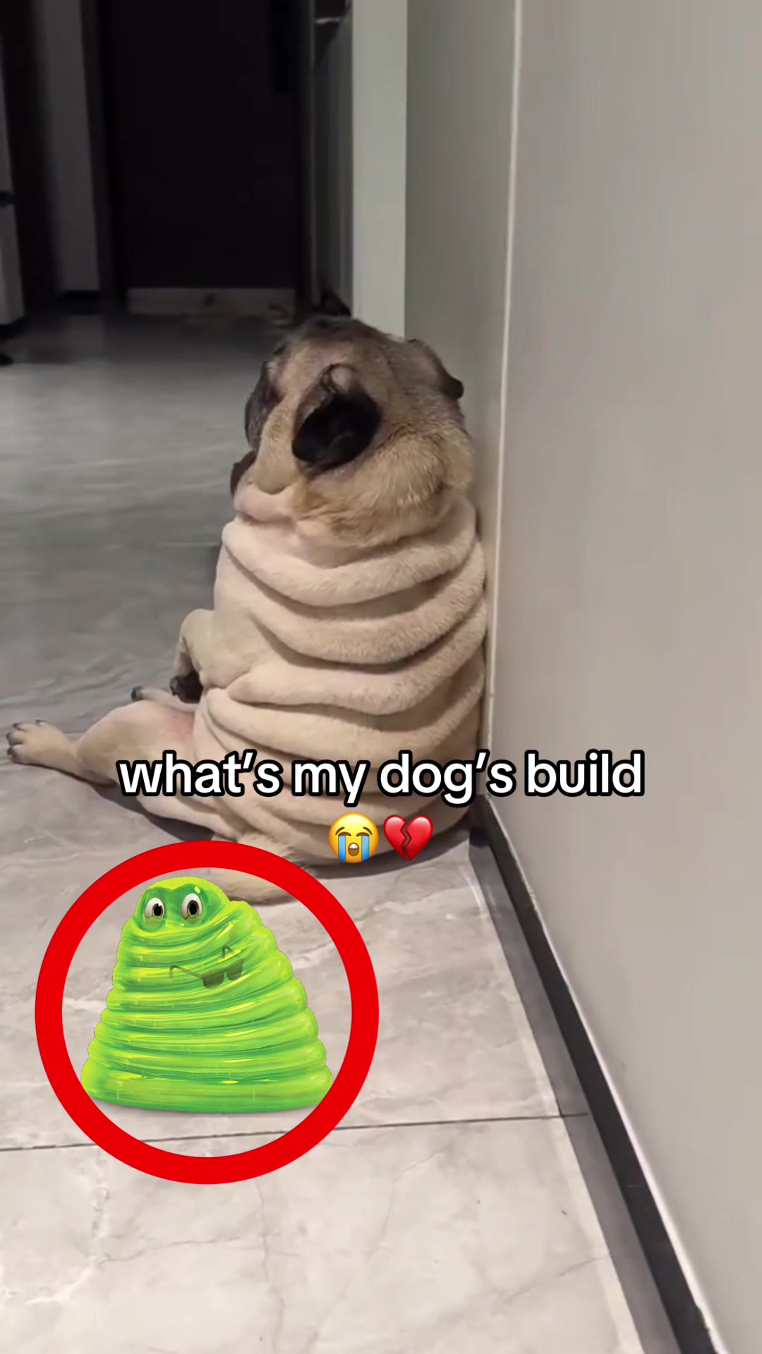@bababooy1.2