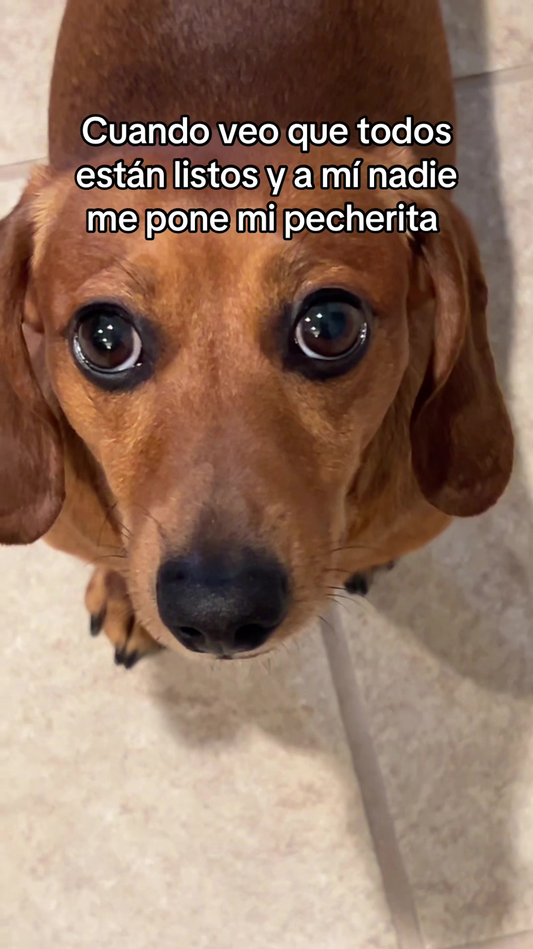 @Slinky Severus-Doo