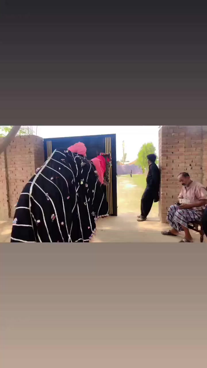@مہر بلال