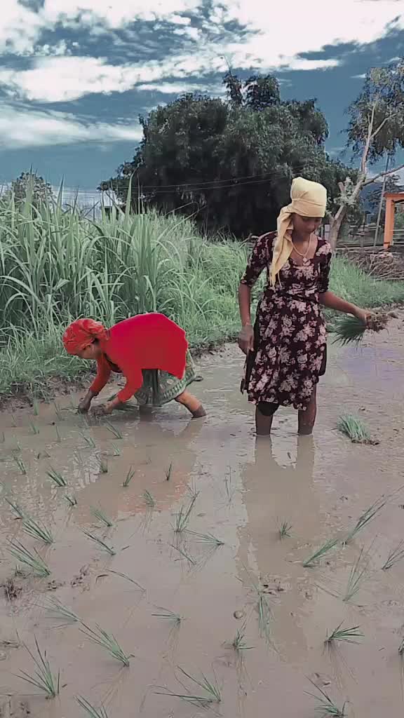 @๐ Bhojpuriya Raniya ๐