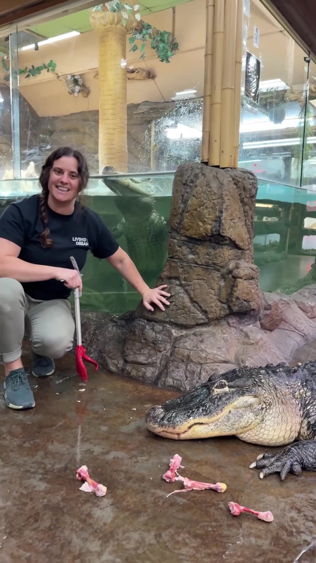 @The Reptile Zoo