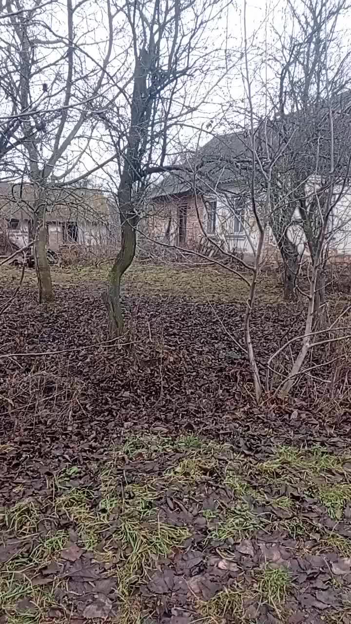 @Olena _1205