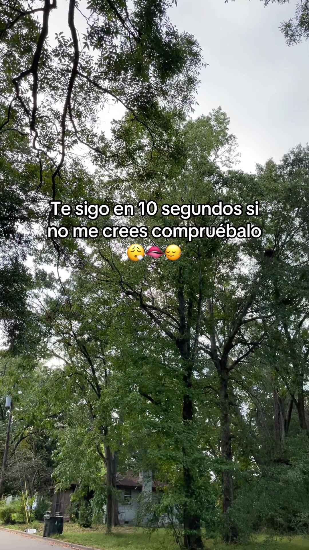 @Riquelmer-viral✝️