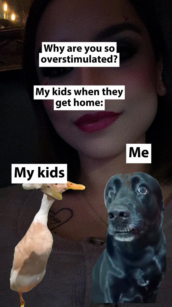 @Silvia