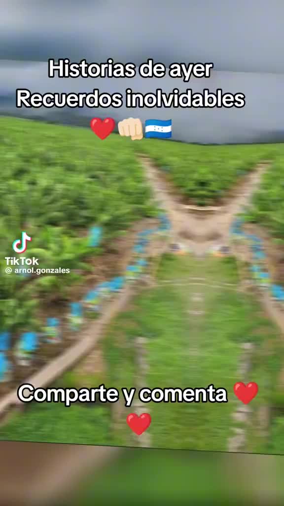 @LA,PANTERITA,De,MEXICO