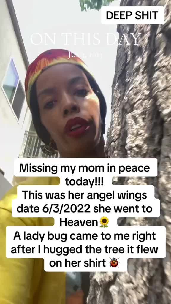 @Live In Peace LLC